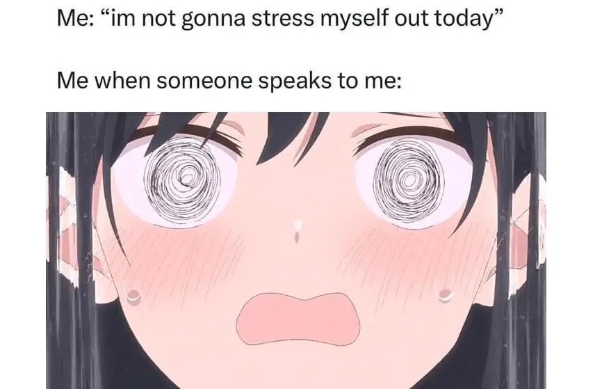 meme anime tentang stres (reddit.com/user/Holofan4life)
