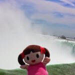 Anime North 2014: Ringkasan