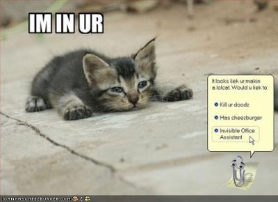 Makoto Shinkai's Lolcats