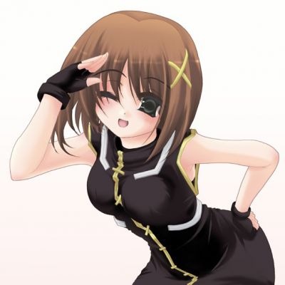 Hayate Yagami Salutes! (Has nothing to do with Saiunkoku Anything)