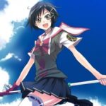 Slice-of-Life: A Deceptive Genre, Some Bloggers Uncover the Reality