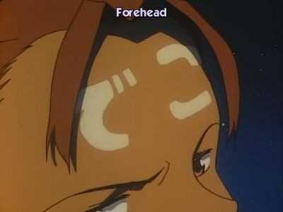 The Final Haruhi Suzumiya Generation