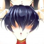 The Niche's Role in Anime Localization