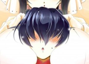 The Niche's Role in Anime Localization