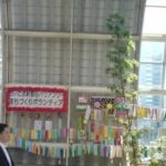 Tokyo Travelog 2009 Part 4 – A Legendary Tanabata Celebration